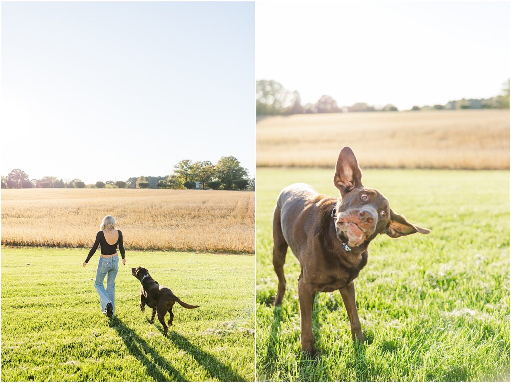 kendall's senior session with brown lab dog in Goochland, VA