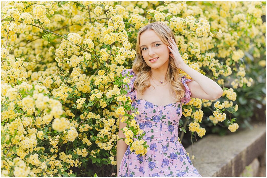 huge yellow flower at Maymont for senior pictures