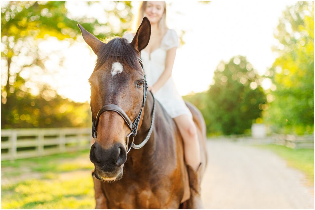 equestrian senior pictures in fredericksburg at golden hour