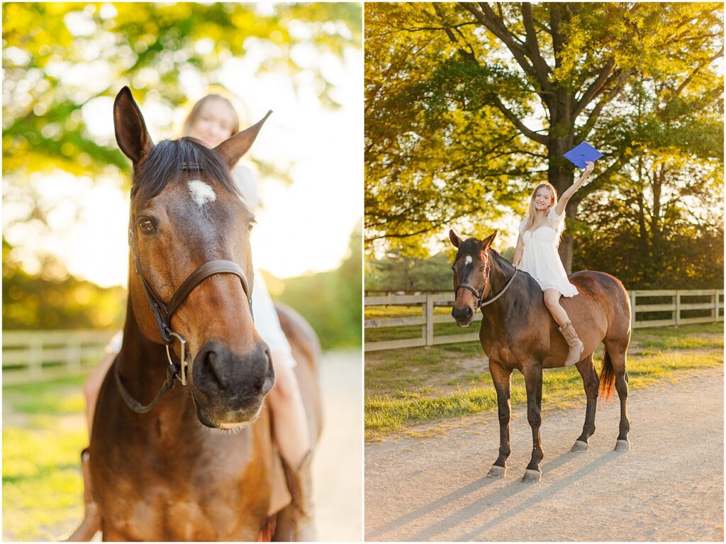 equestrian senior pictures in fredericksburg, va