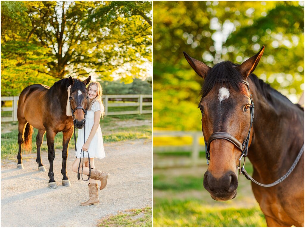 equestrian senior pictures in fredericksburg, va