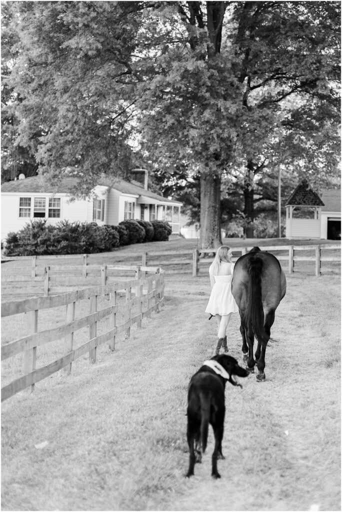 equestrian senior pictures in fredericksburg, va