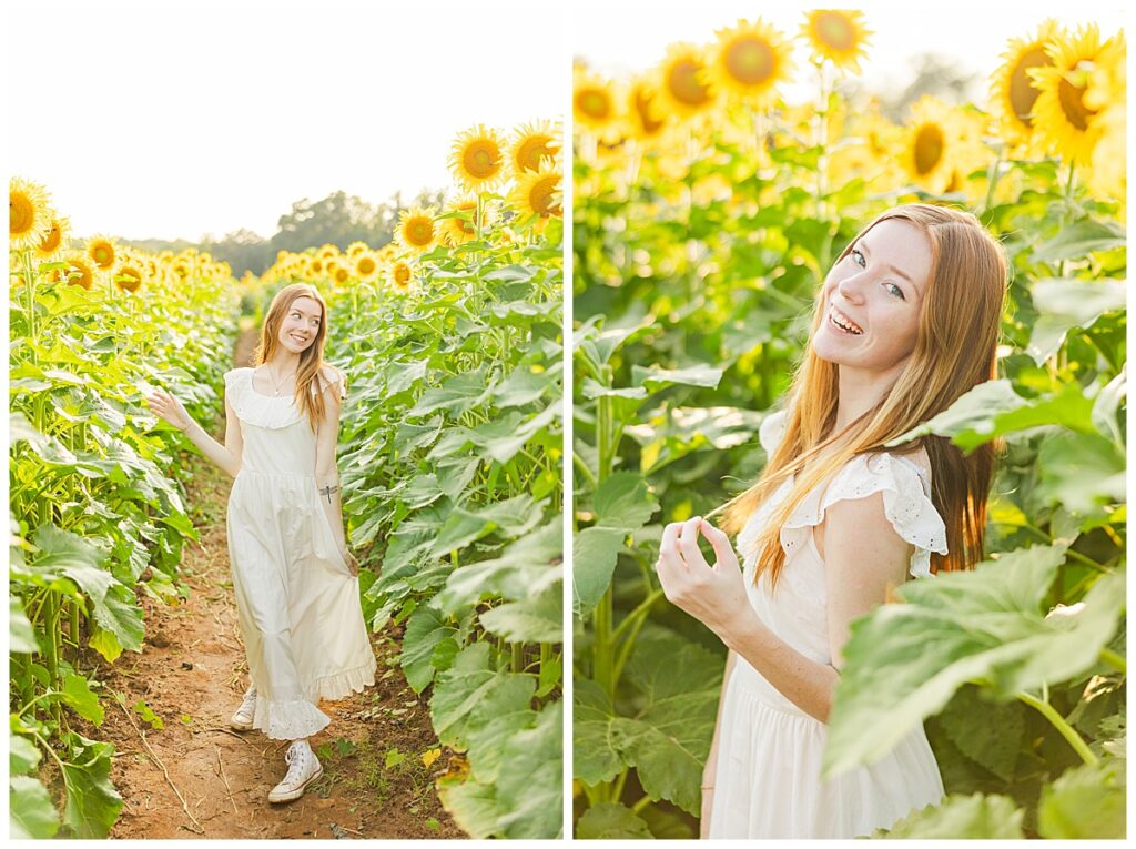 sunflowers at Chesterfield Berry Farm  | Richmond senior photographer