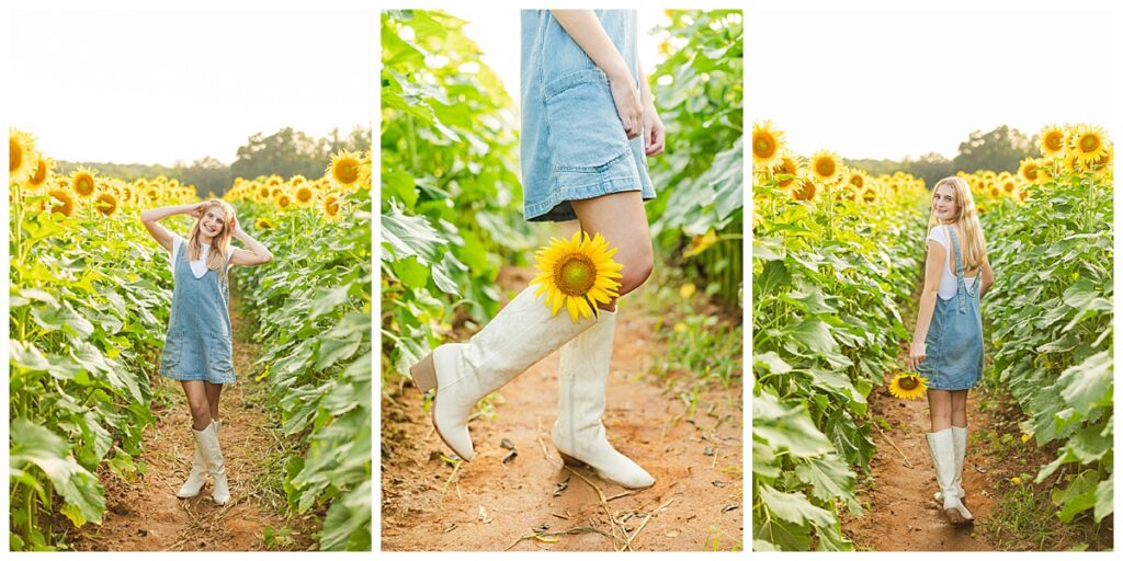 sunflowers at Chesterfield Berry Farm  | Richmond senior photographer