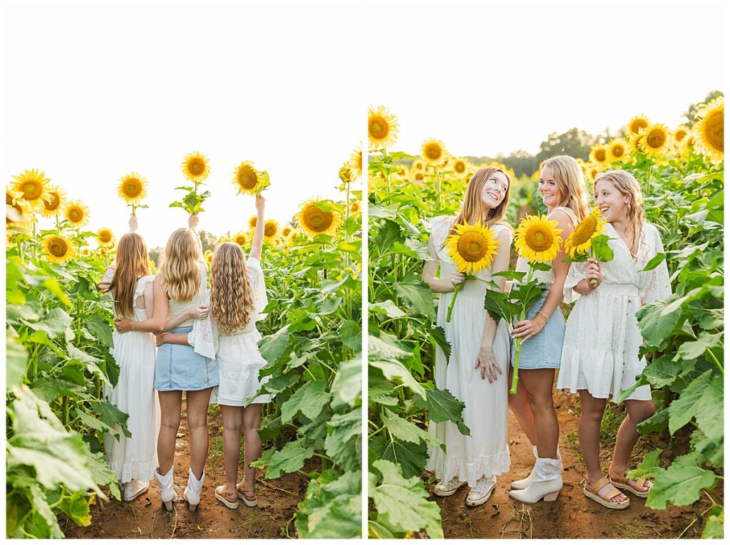 sunflowers at Chesterfield Berry Farm  | Richmond senior photographer