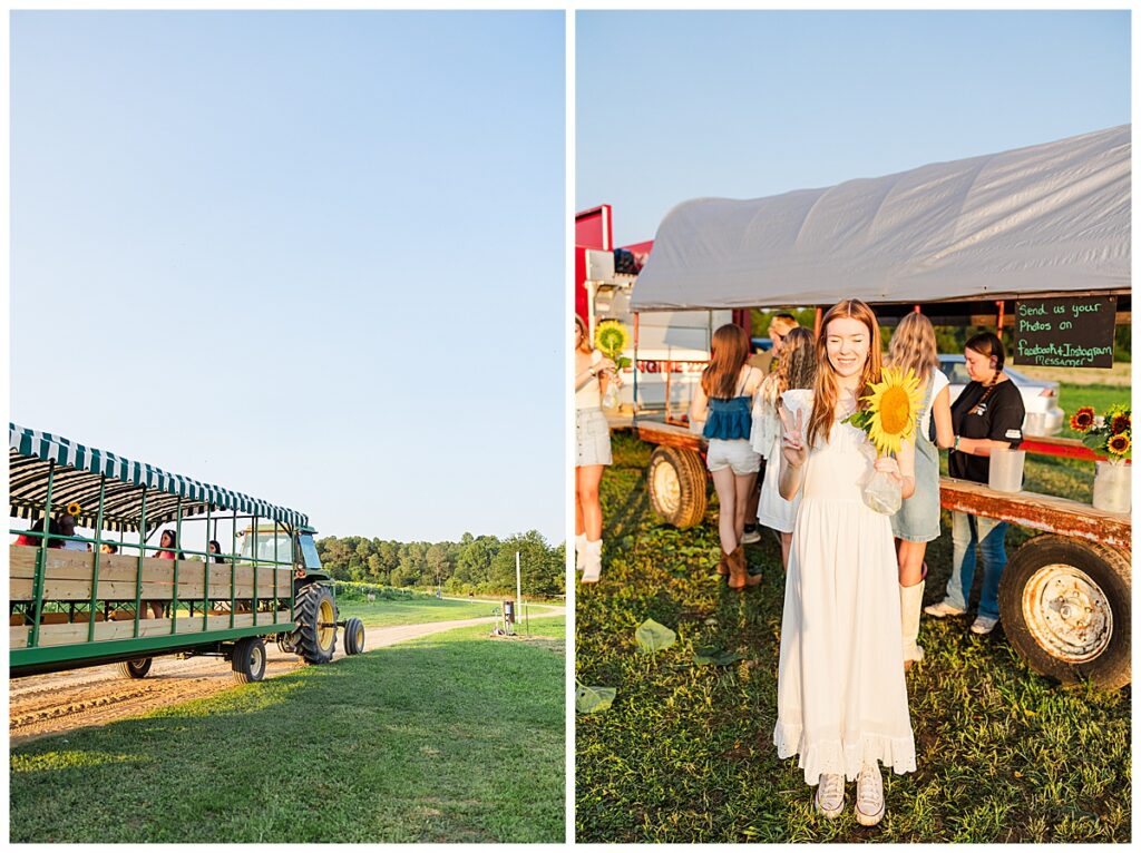 sunflowers at Chesterfield Berry Farm  | Richmond senior photographer