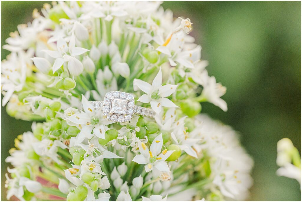 summer engagement photos at Pharsalia near Lynchburg, VA