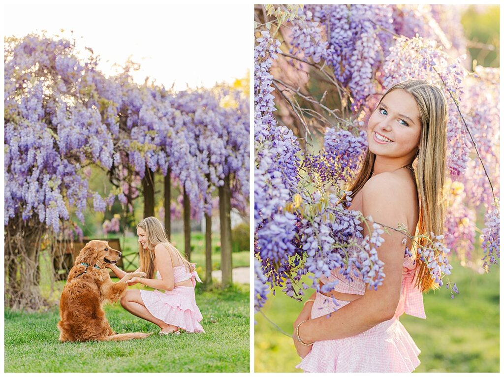 wisteria spring senior session at the Preserve at Dundee 