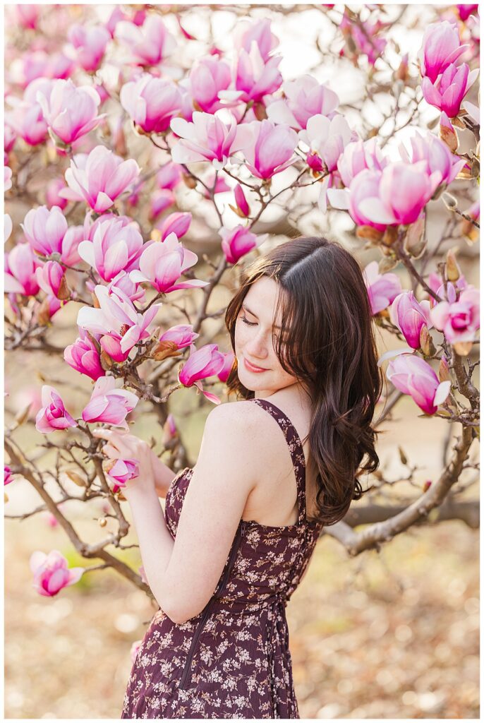 Spring senior pictures with giant full bloom tulip tree at Maymont | New Kent High School