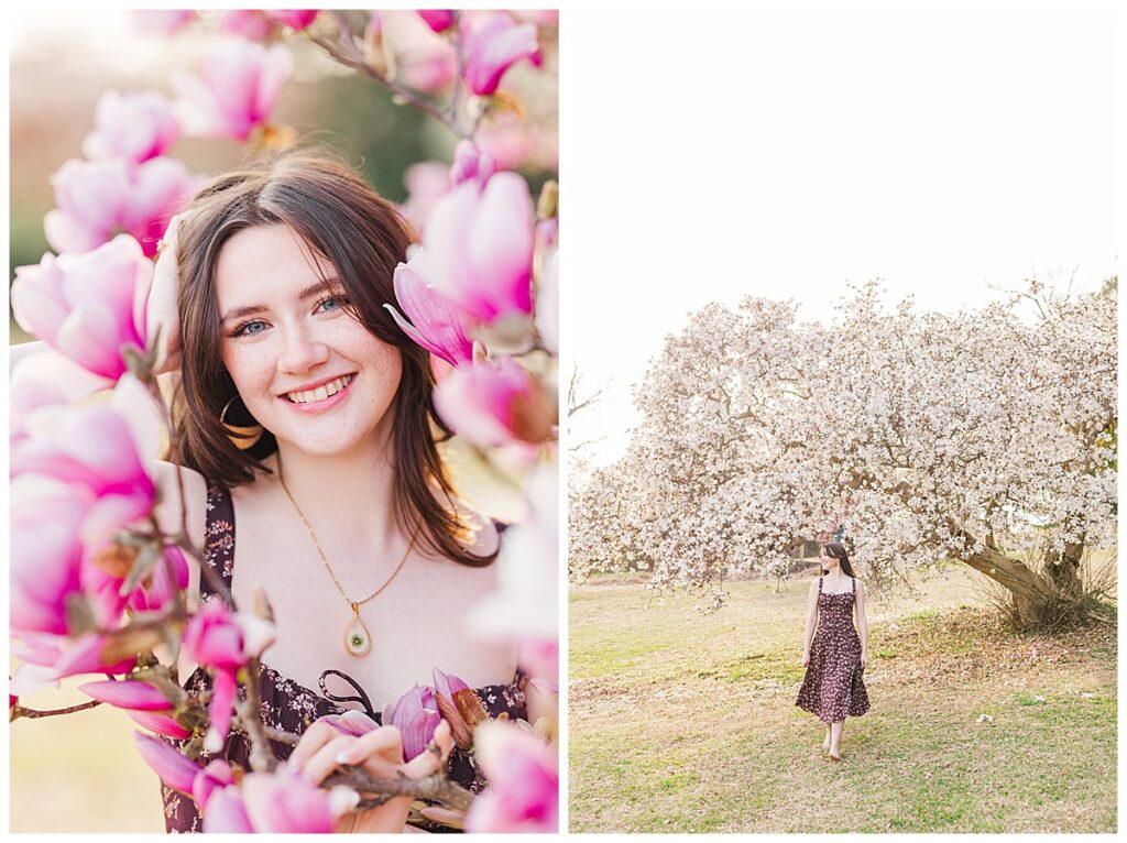 Spring senior pictures with giant full bloom tulip tree at Maymont | New Kent High School