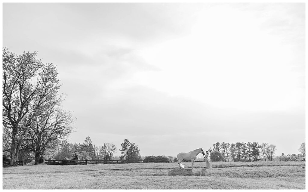 fairytale senior session in Leesburg, VA | Virginia senior photographer