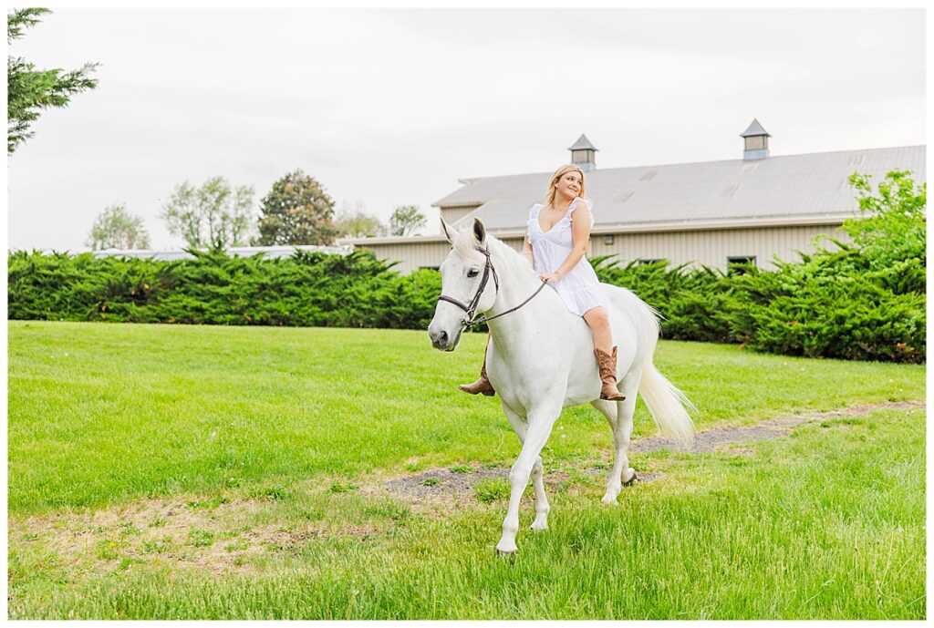 Dylan's Leesburg senior session with a horse