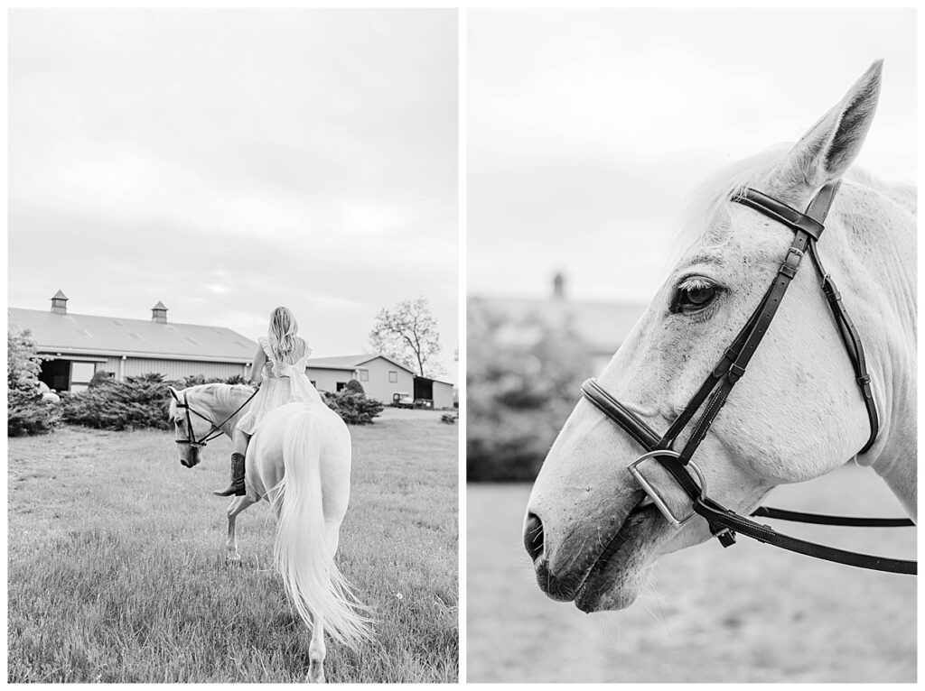 Dylan's Leesburg senior session with a horse