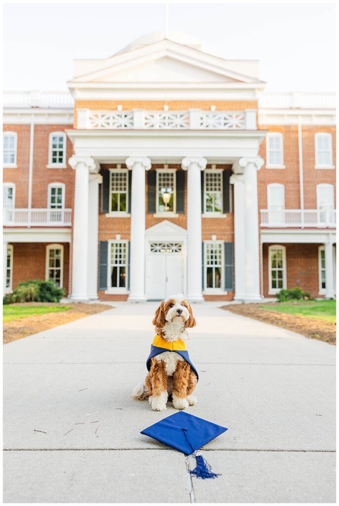 Longwood University graduation photographer