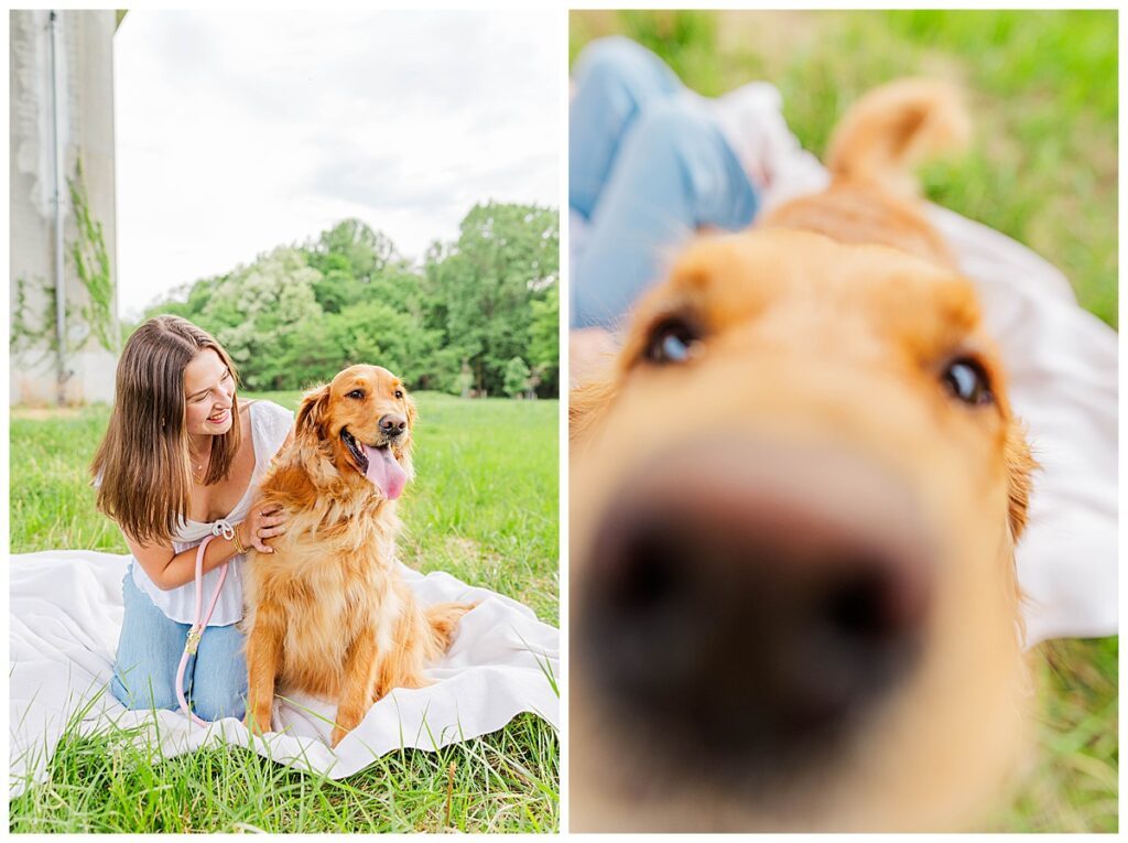 senior session with golden retriever |  virginia senior photographer